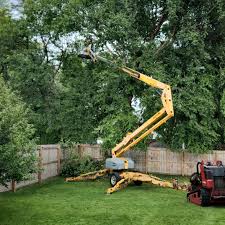 Best Lawn Watering Services  in Eminence, KY
