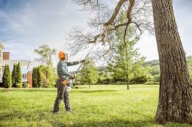 Best Tree Health Inspection  in Eminence, KY
