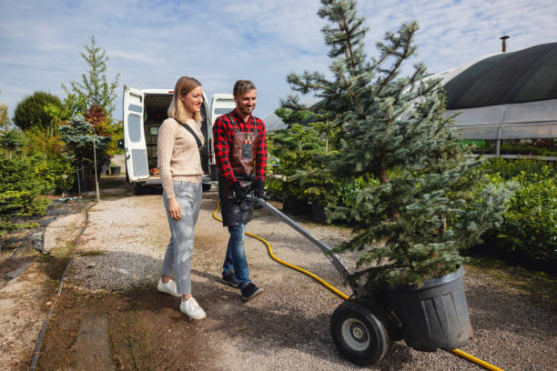 Best Lawn Pest Prevention  in Eminence, KY